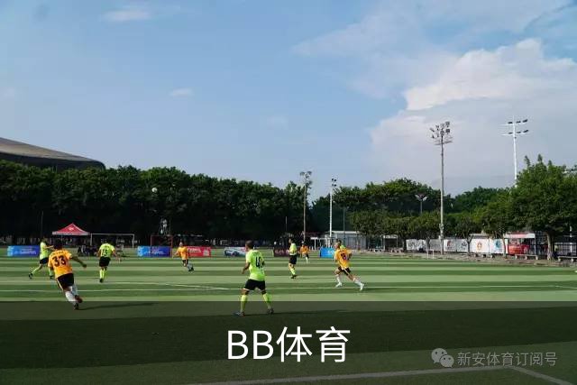 关于BB体育